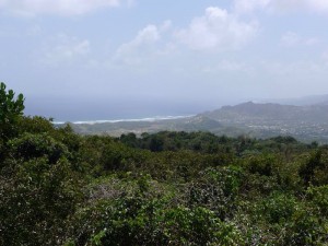 View from Grenade Hill Signal Station
